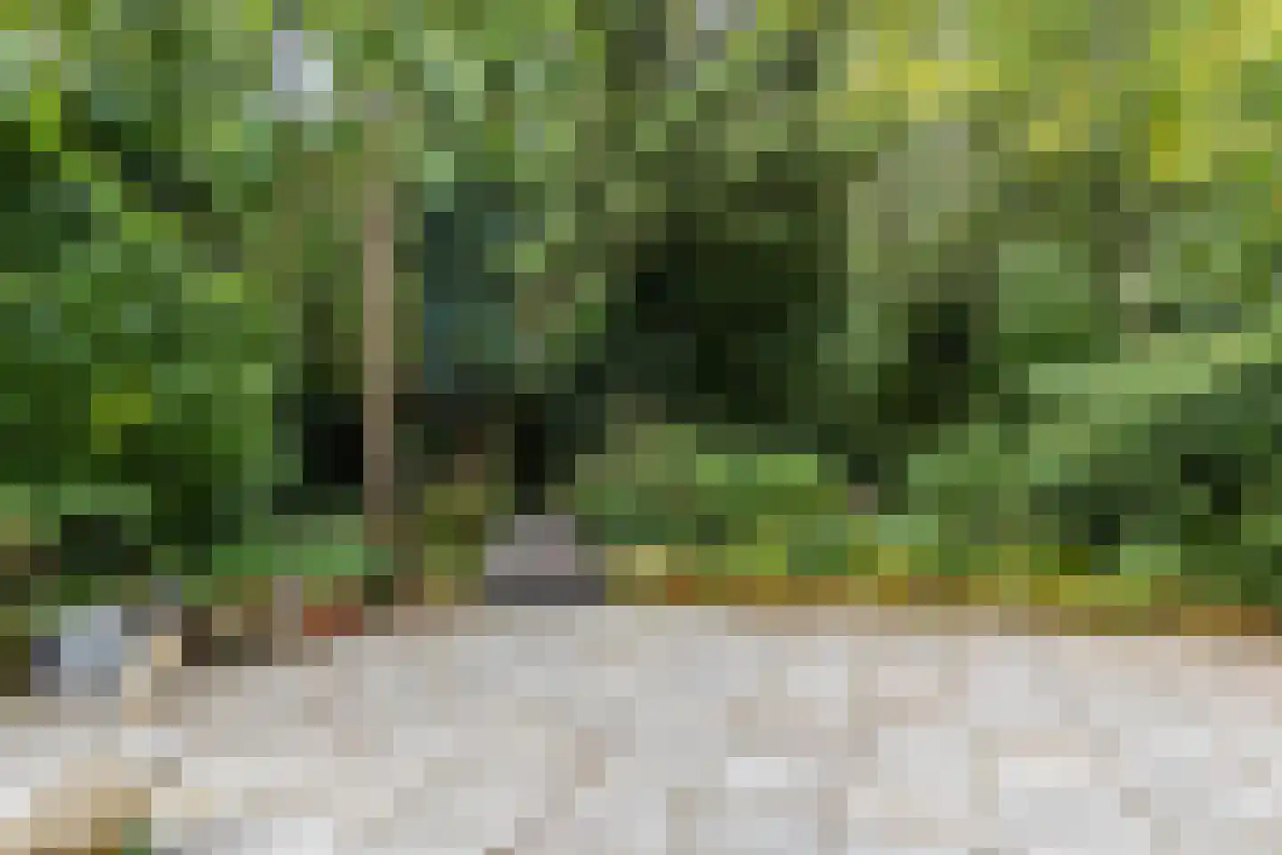 Houtsnip 14 Obdam thumbnail 22