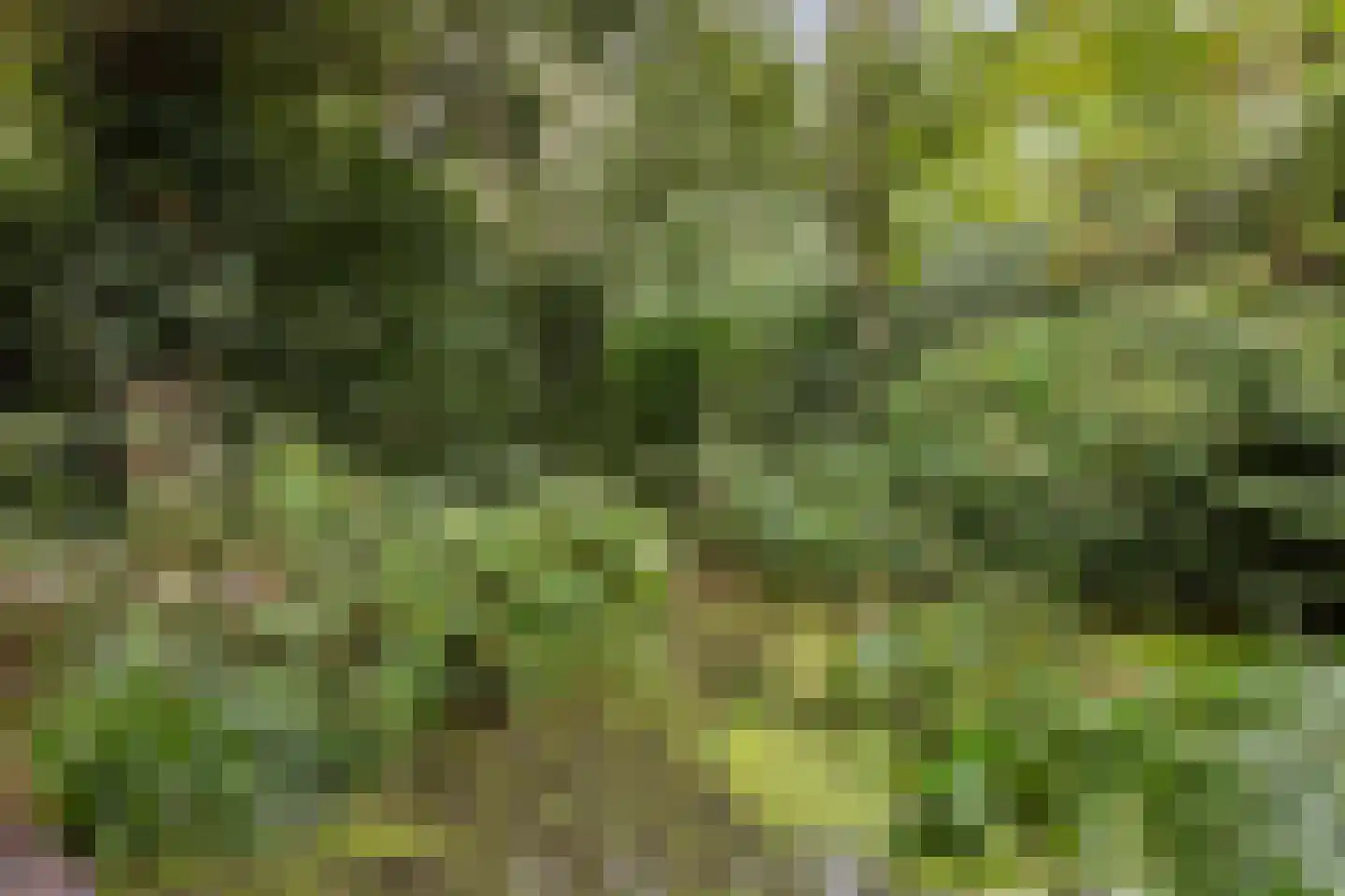 Houtsnip 14 Obdam thumbnail 23