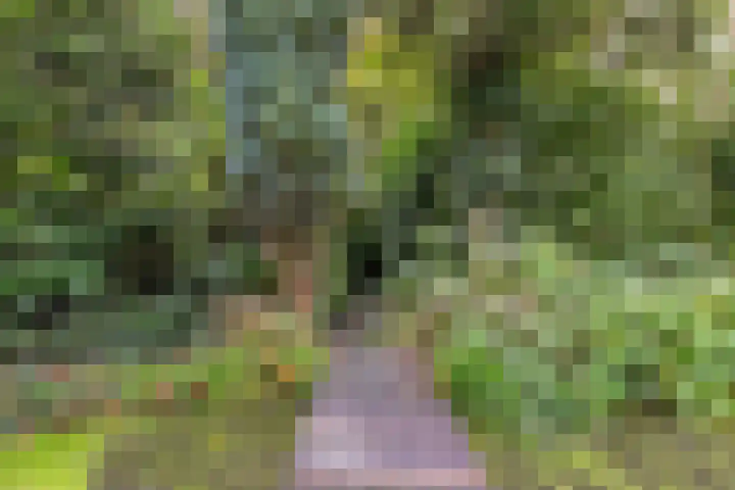 Houtsnip 14 Obdam thumbnail 24