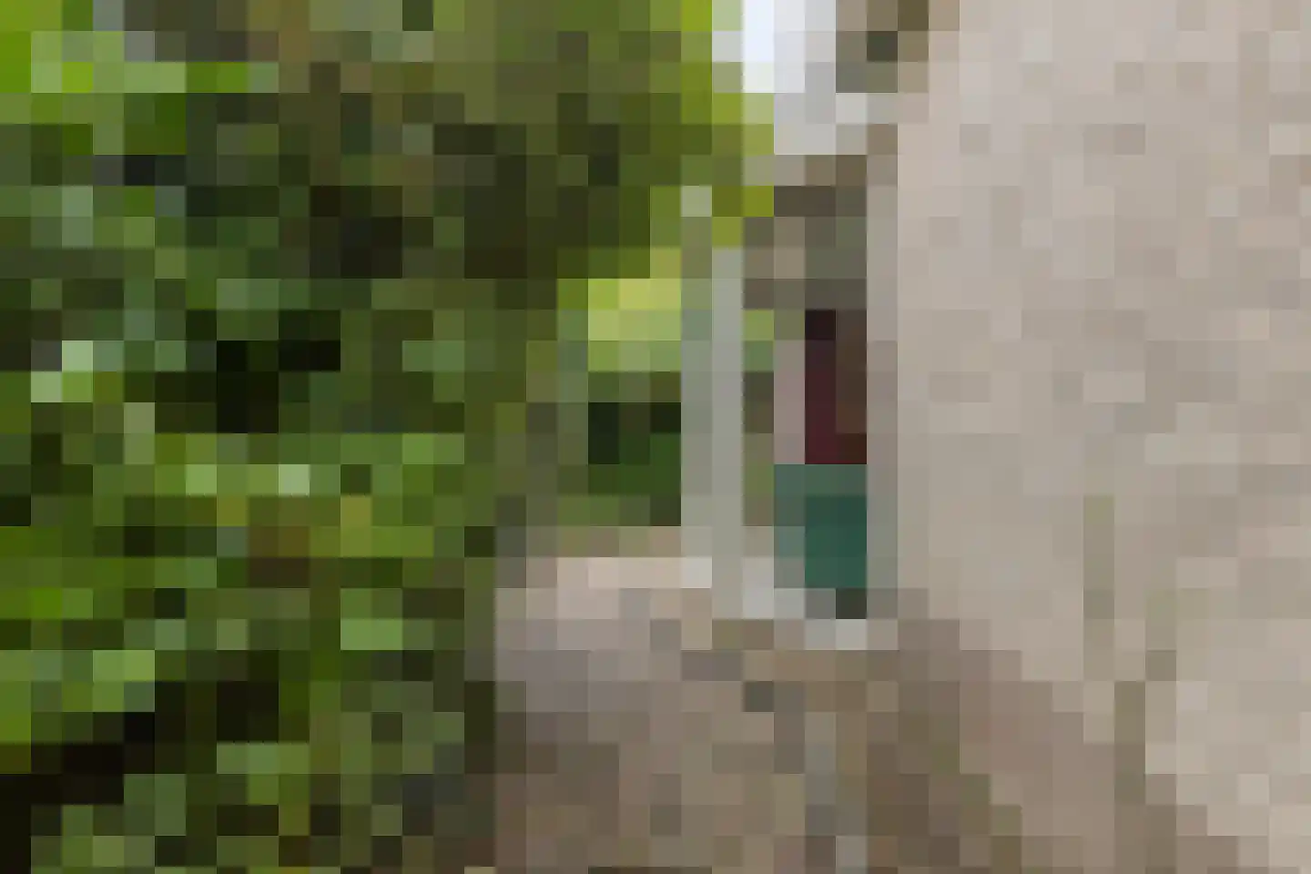 Houtsnip 14 Obdam thumbnail 25