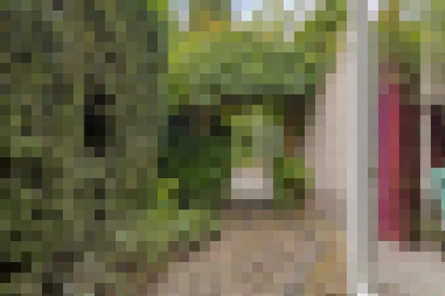 Houtsnip 14 Obdam thumbnail 26