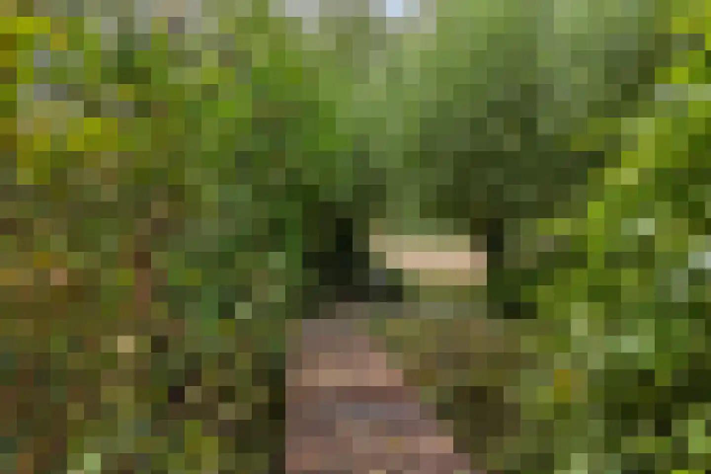 Houtsnip 14 Obdam thumbnail 28