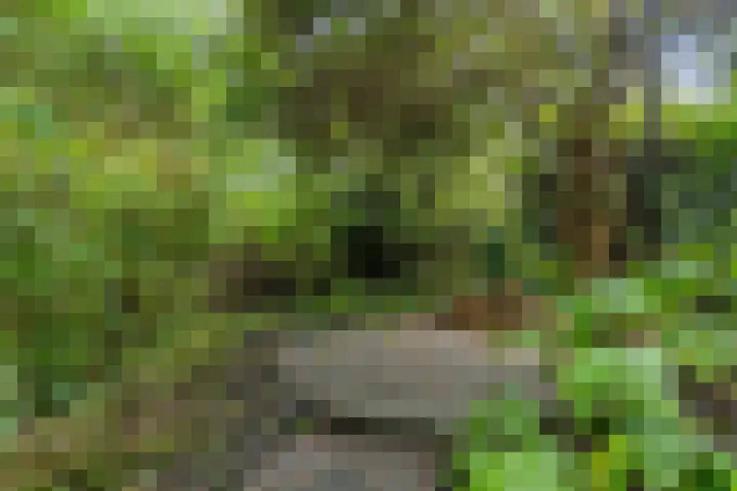 Houtsnip 14 Obdam thumbnail 29