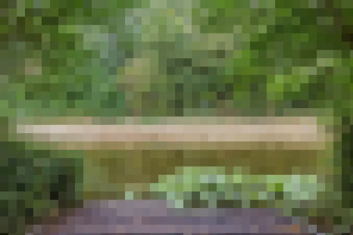 Houtsnip 14 Obdam thumbnail 30
