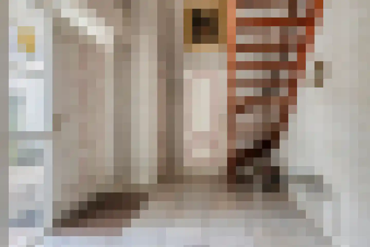 Houtsnip 14 Obdam thumbnail 34