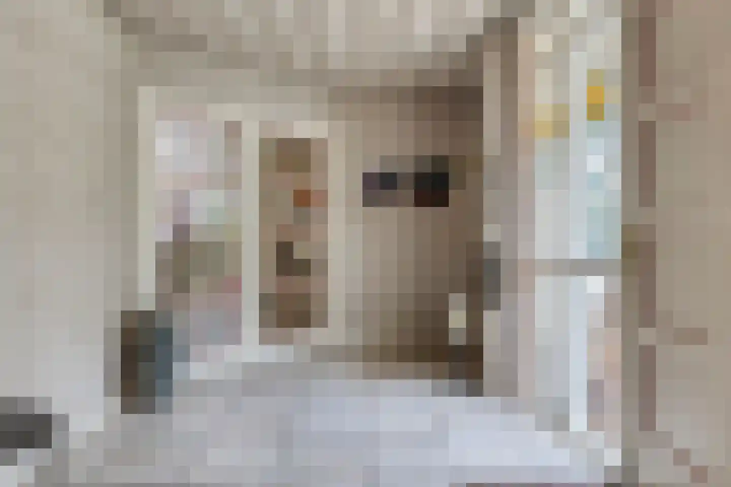 Houtsnip 14 Obdam thumbnail 35