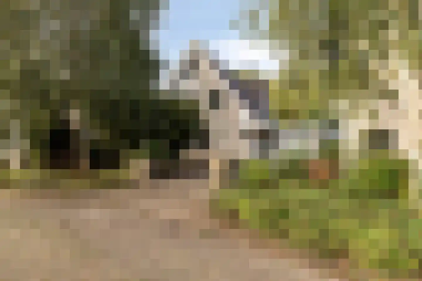 Houtsnip 14 Obdam thumbnail 4