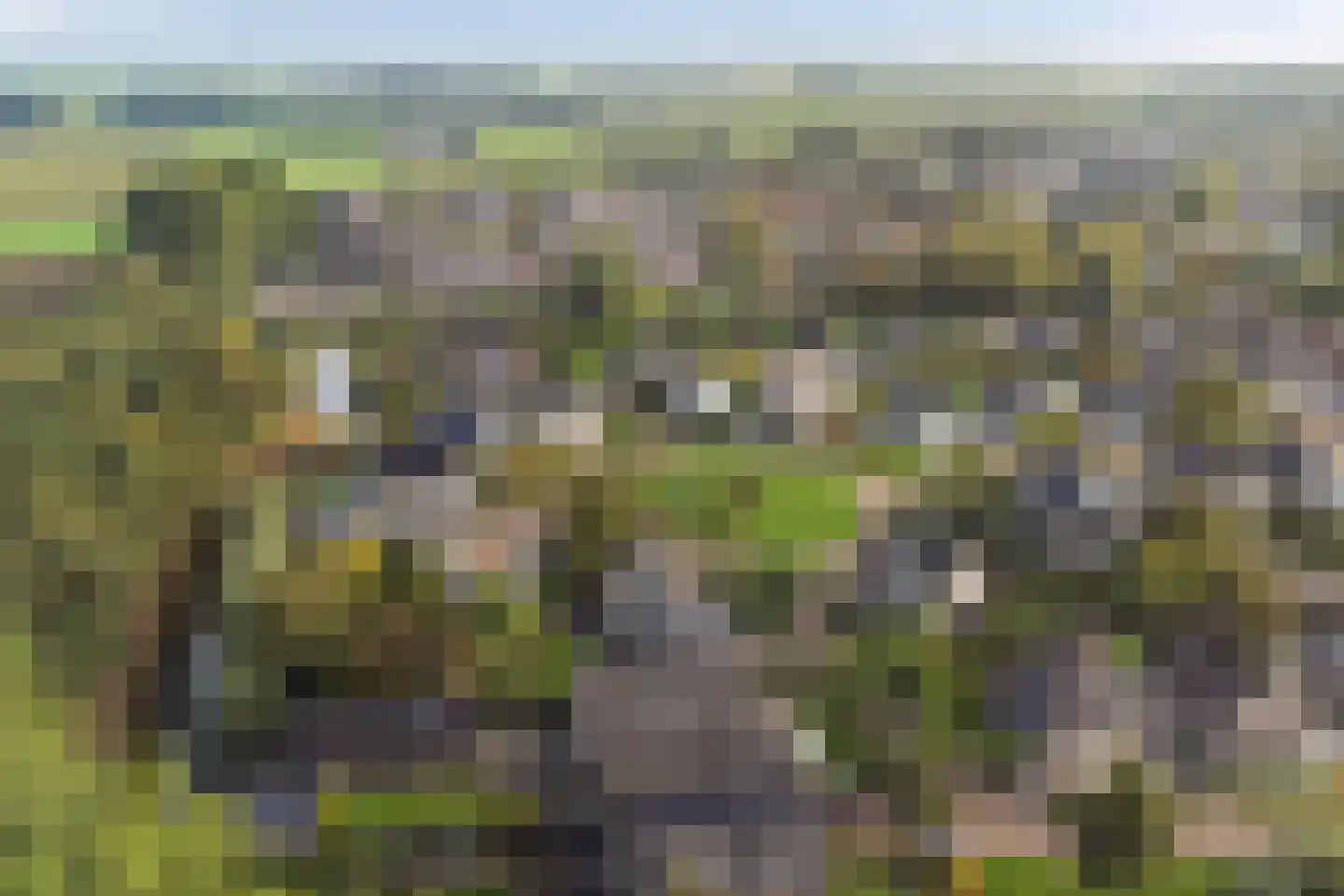 Houtsnip 14 Obdam thumbnail 56