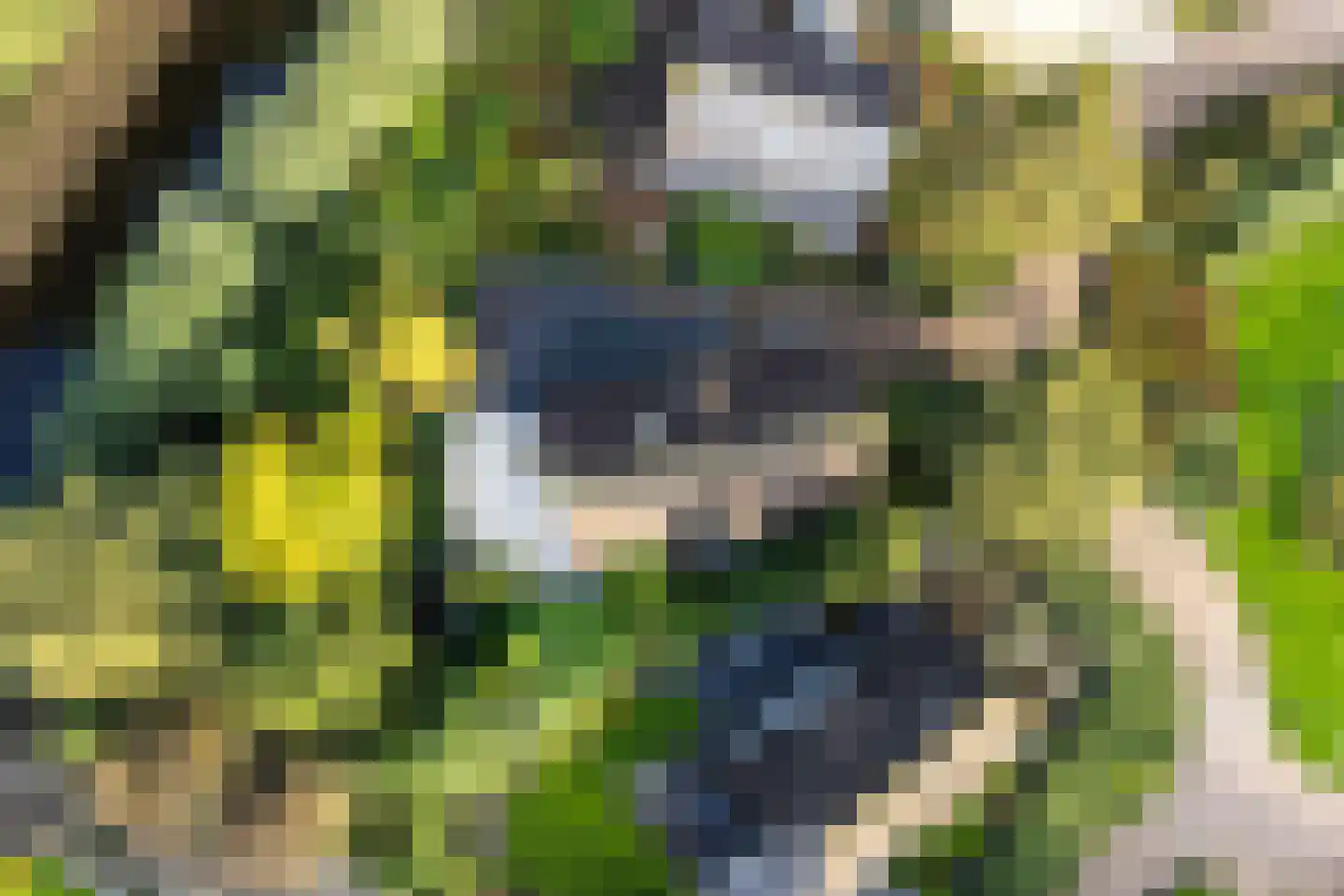 Houtsnip 14 Obdam thumbnail 57