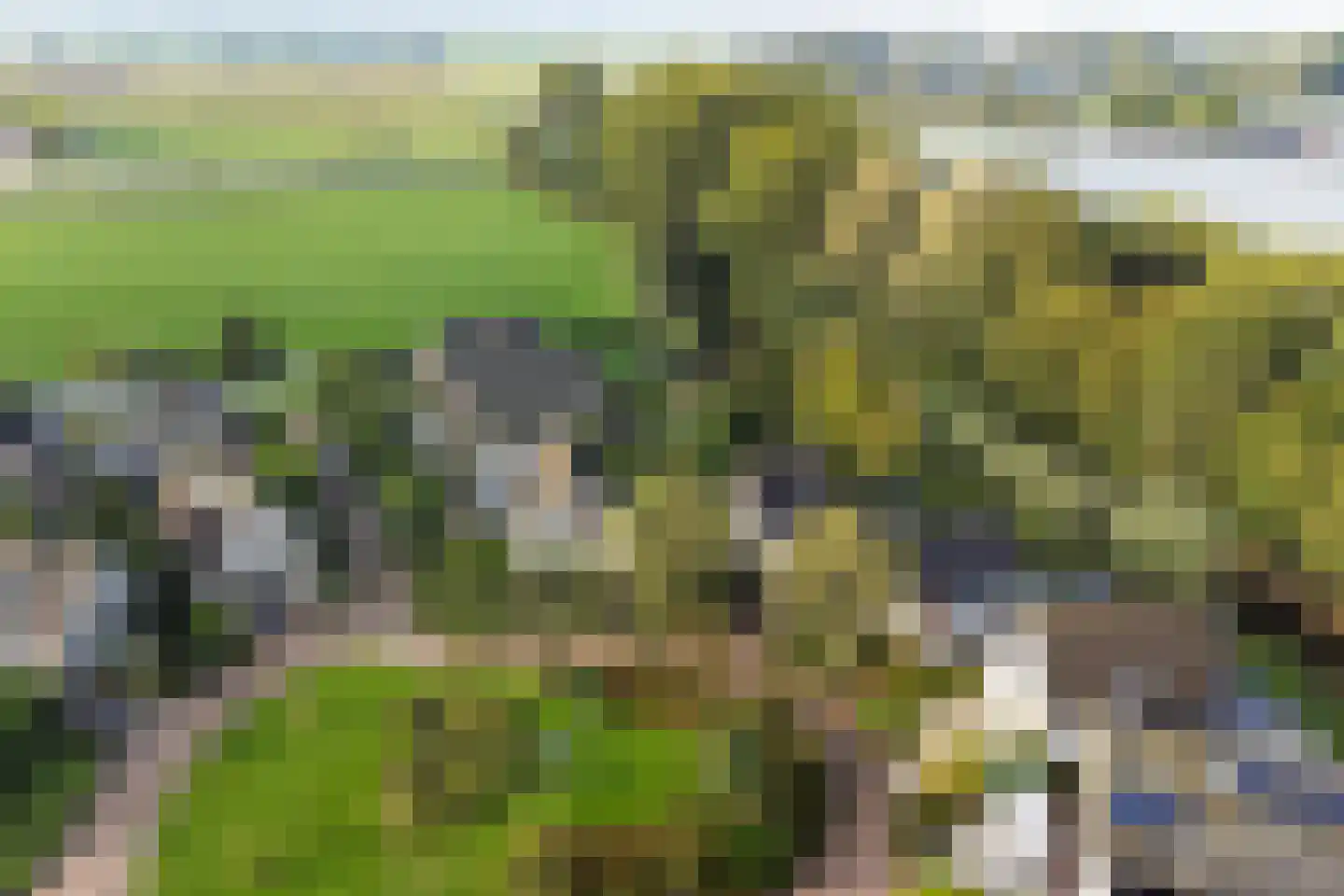 Houtsnip 14 Obdam thumbnail 58