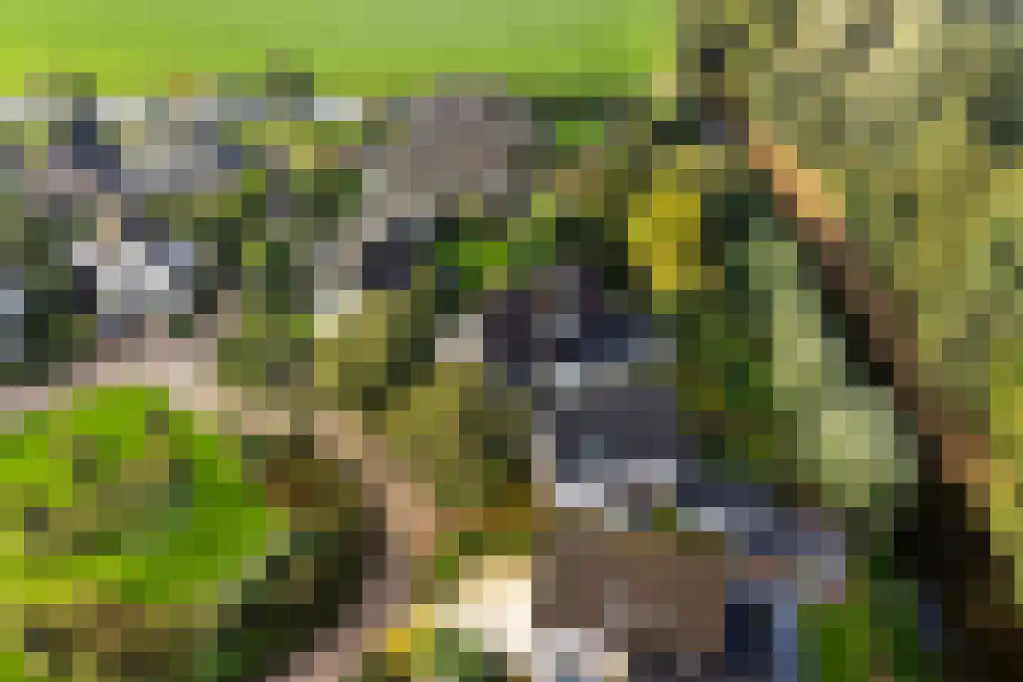 Houtsnip 14 Obdam thumbnail 59