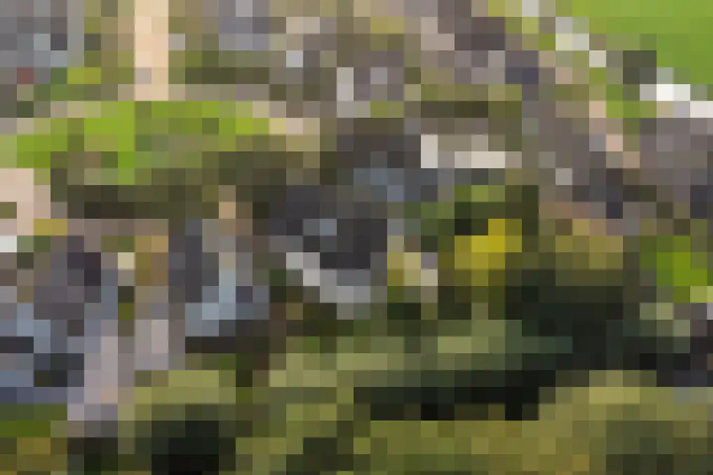 Houtsnip 14 Obdam thumbnail 60