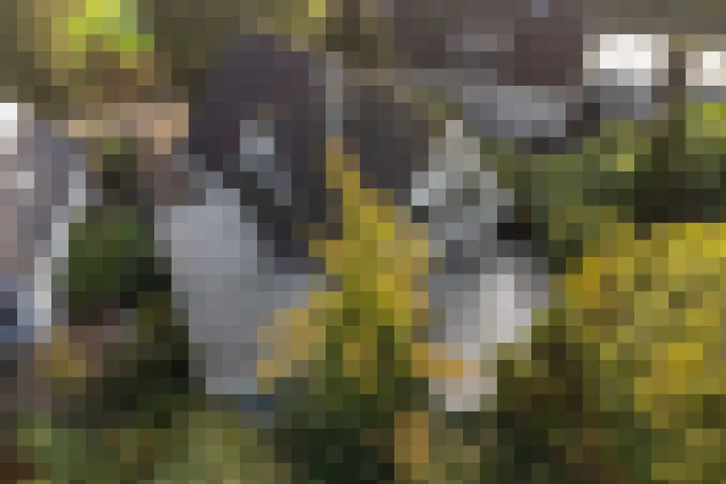Houtsnip 14 Obdam thumbnail 62