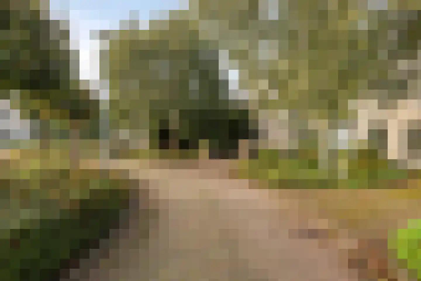 Houtsnip 14 Obdam thumbnail 63