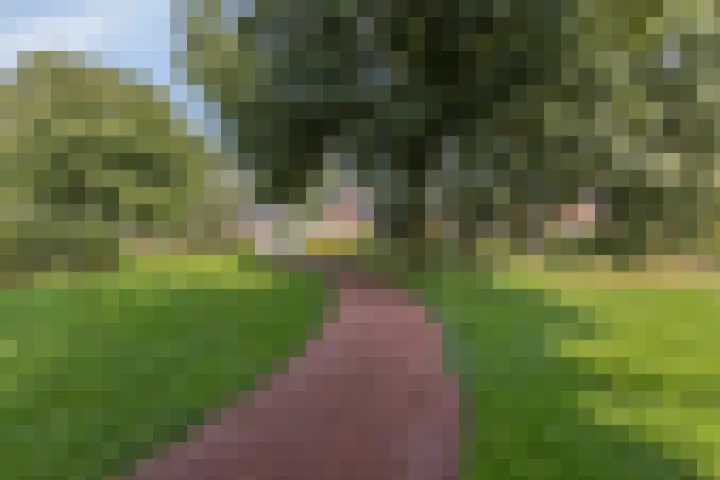 Houtsnip 14 Obdam thumbnail 65