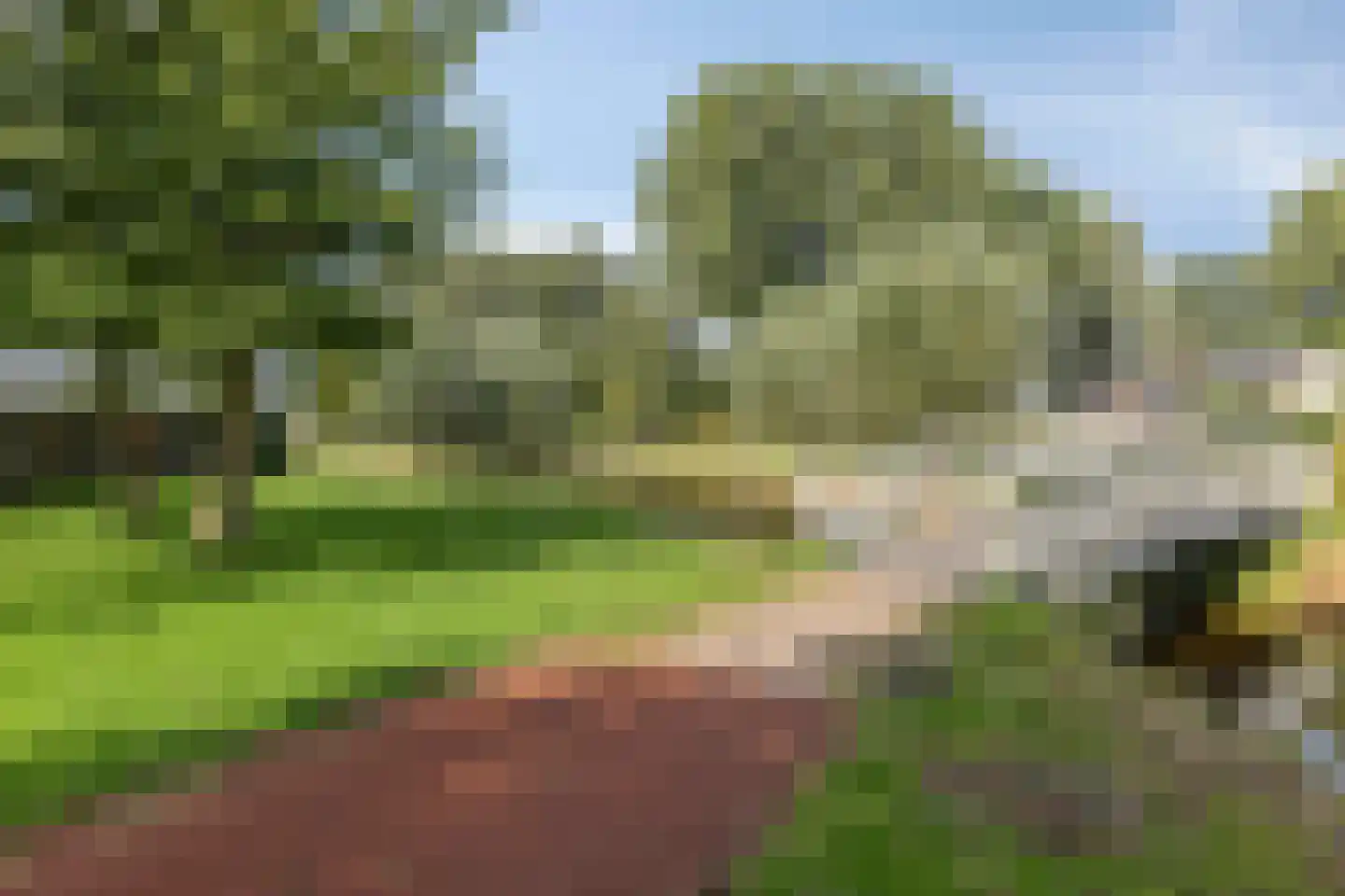 Houtsnip 14 Obdam thumbnail 66