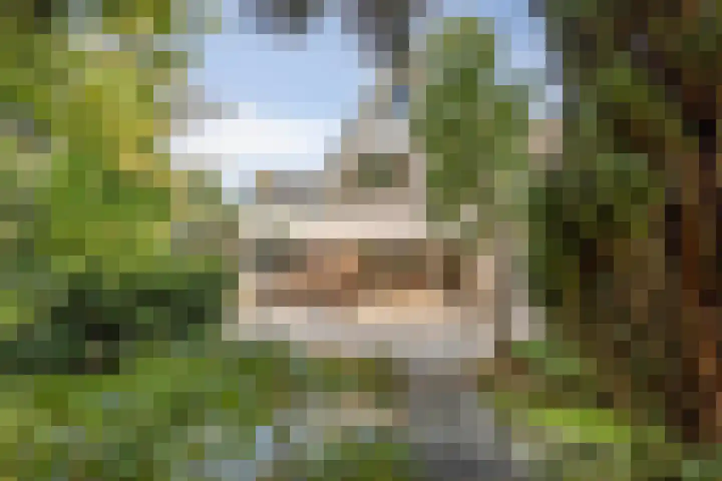 Houtsnip 14 Obdam thumbnail 7