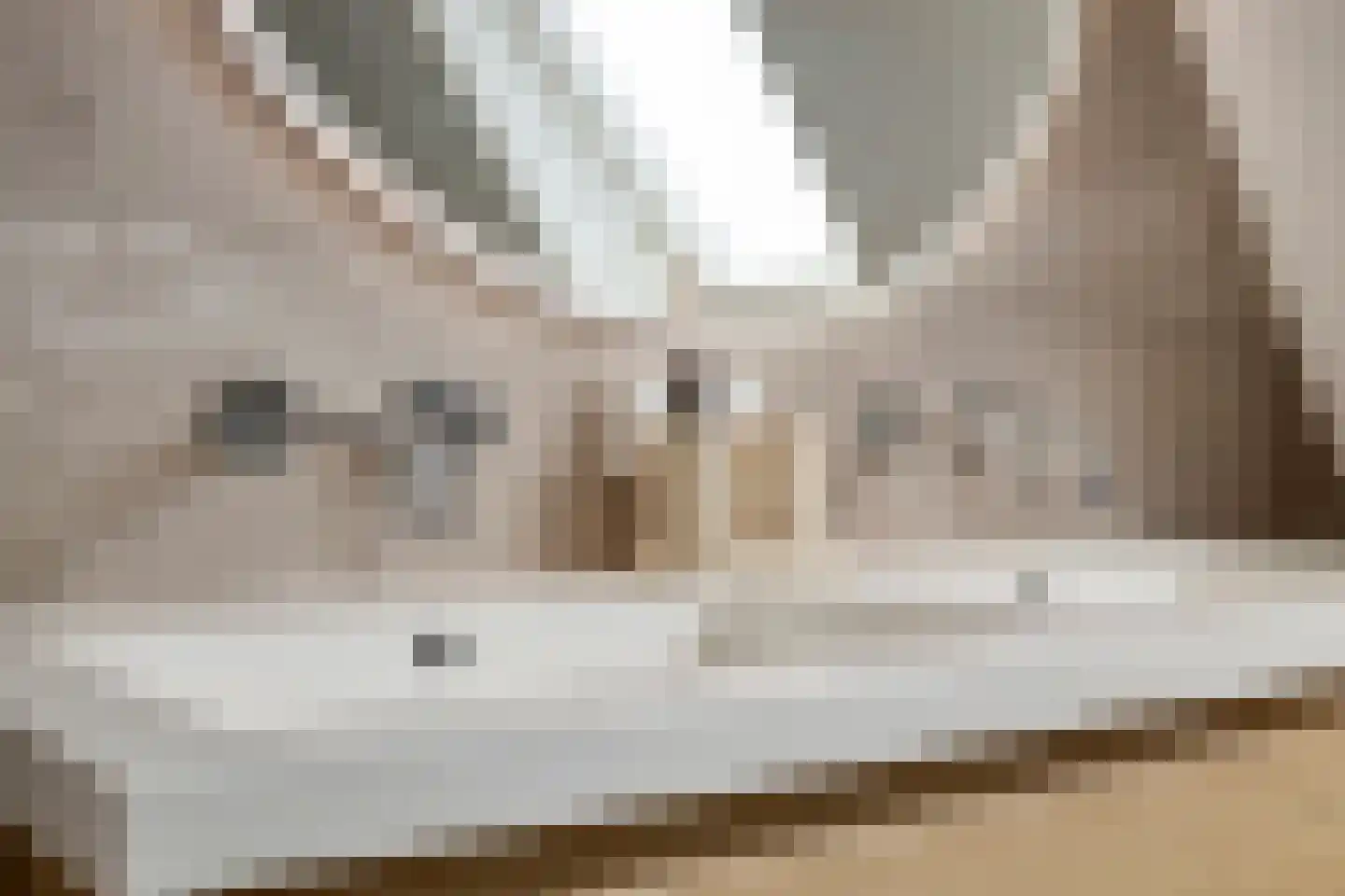 Houtsnip 15 Sint Nicolaasga thumbnail 20
