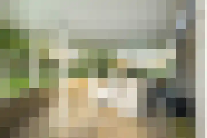 Houtsnip 17 Emmen thumbnail 31