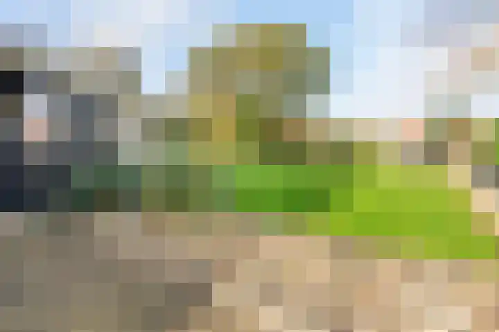 Houtsnip 17 Emmen thumbnail 33