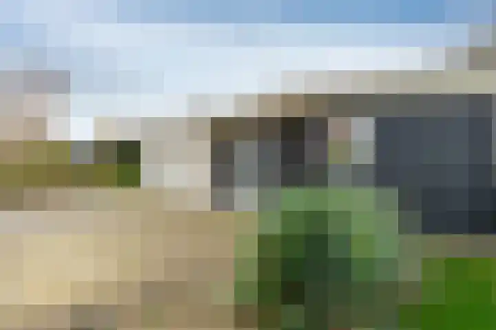 Houtsnip 17 Emmen thumbnail 36