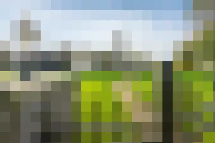 Houtsnip 17 Emmen thumbnail 37