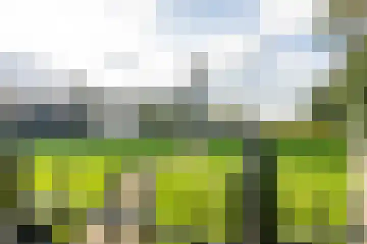 Houtsnip 17 Emmen thumbnail 38