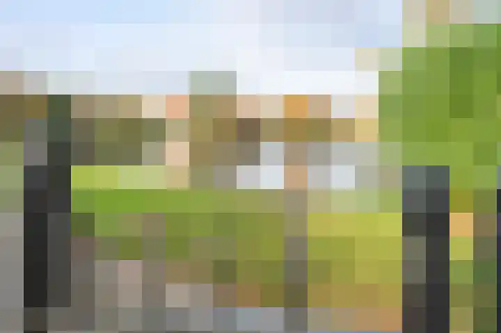 Houtsnip 17 Emmen thumbnail 39