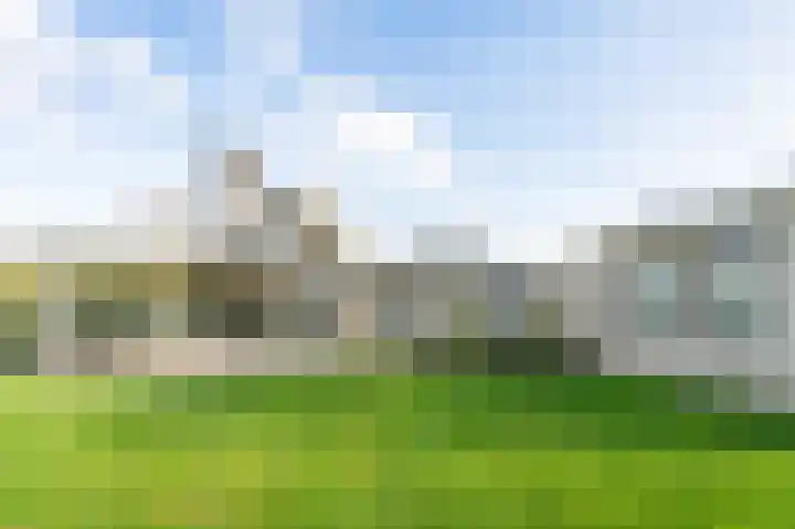 Houtsnip 17 Emmen thumbnail 4