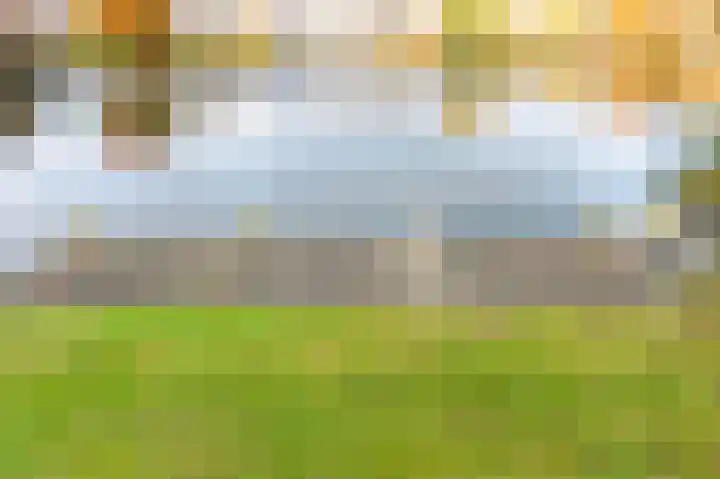 Houtsnip 17 Emmen thumbnail 40
