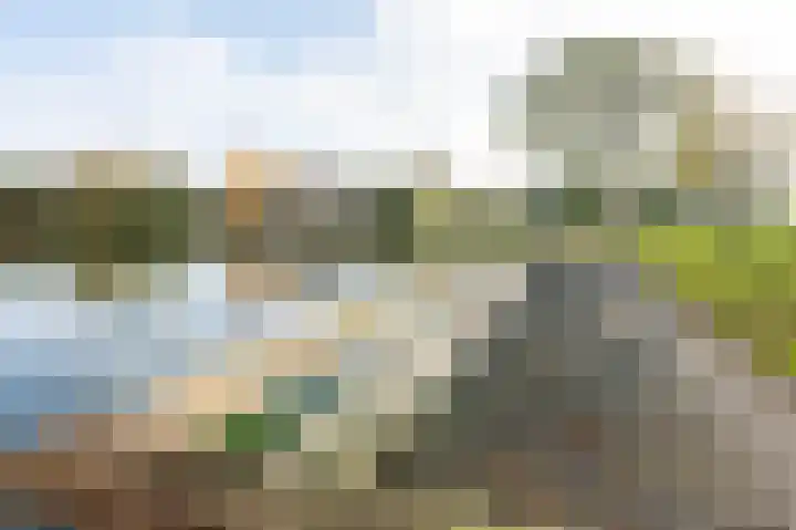 Houtsnip 17 Emmen thumbnail 41
