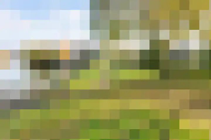 Houtsnip 17 Emmen thumbnail 42