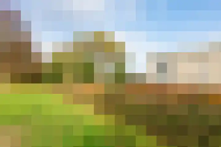 Houtsnip 17 Emmen thumbnail 44