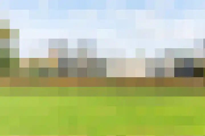 Houtsnip 17 Emmen thumbnail 45