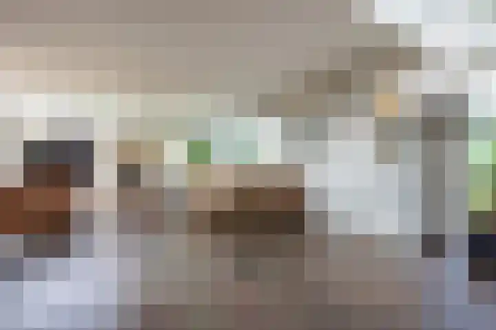 Houtsnip 17 Emmen thumbnail 7