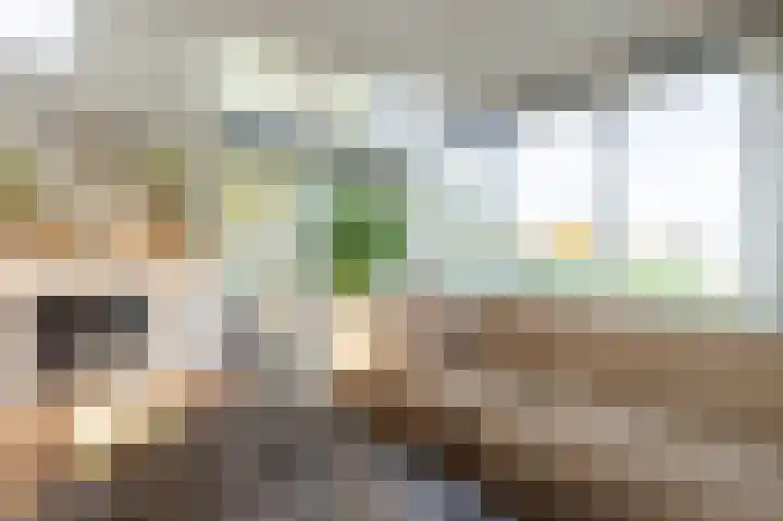 Houtsnip 17 Emmen thumbnail 9