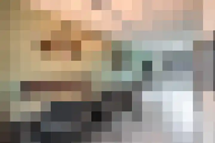 Houtsnip 17 Weert thumbnail 10