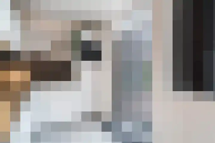 Houtsnip 17 Weert thumbnail 11