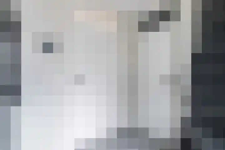 Houtsnip 17 Weert thumbnail 13