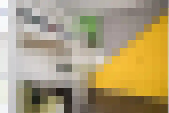 Houtsnip 17 Weert thumbnail 16