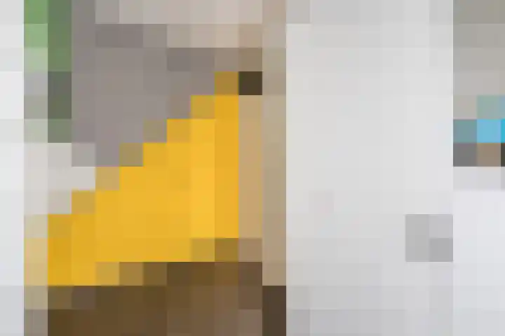 Houtsnip 17 Weert thumbnail 17
