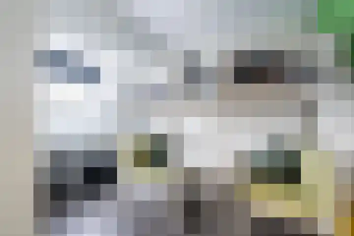 Houtsnip 17 Weert thumbnail 18