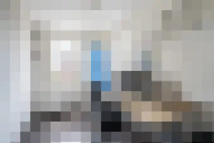 Houtsnip 17 Weert thumbnail 22