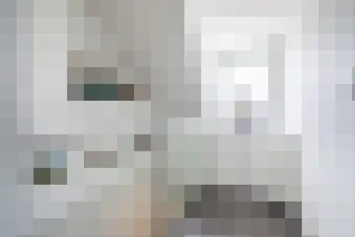 Houtsnip 17 Weert thumbnail 30