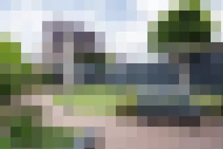 Houtsnip 17 Weert thumbnail 31