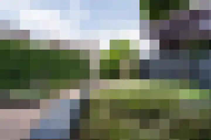 Houtsnip 17 Weert thumbnail 32