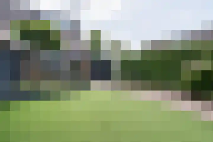 Houtsnip 17 Weert thumbnail 4