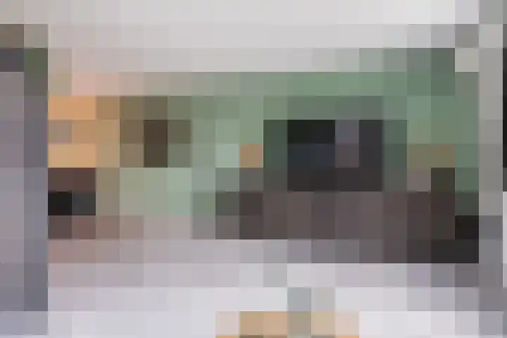 Houtsnip 17 Weert thumbnail 8