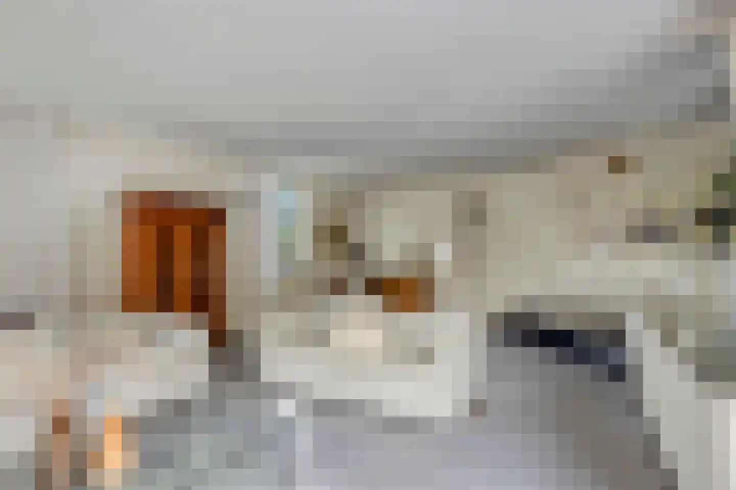 Houtsnip 2 Castricum thumbnail 14