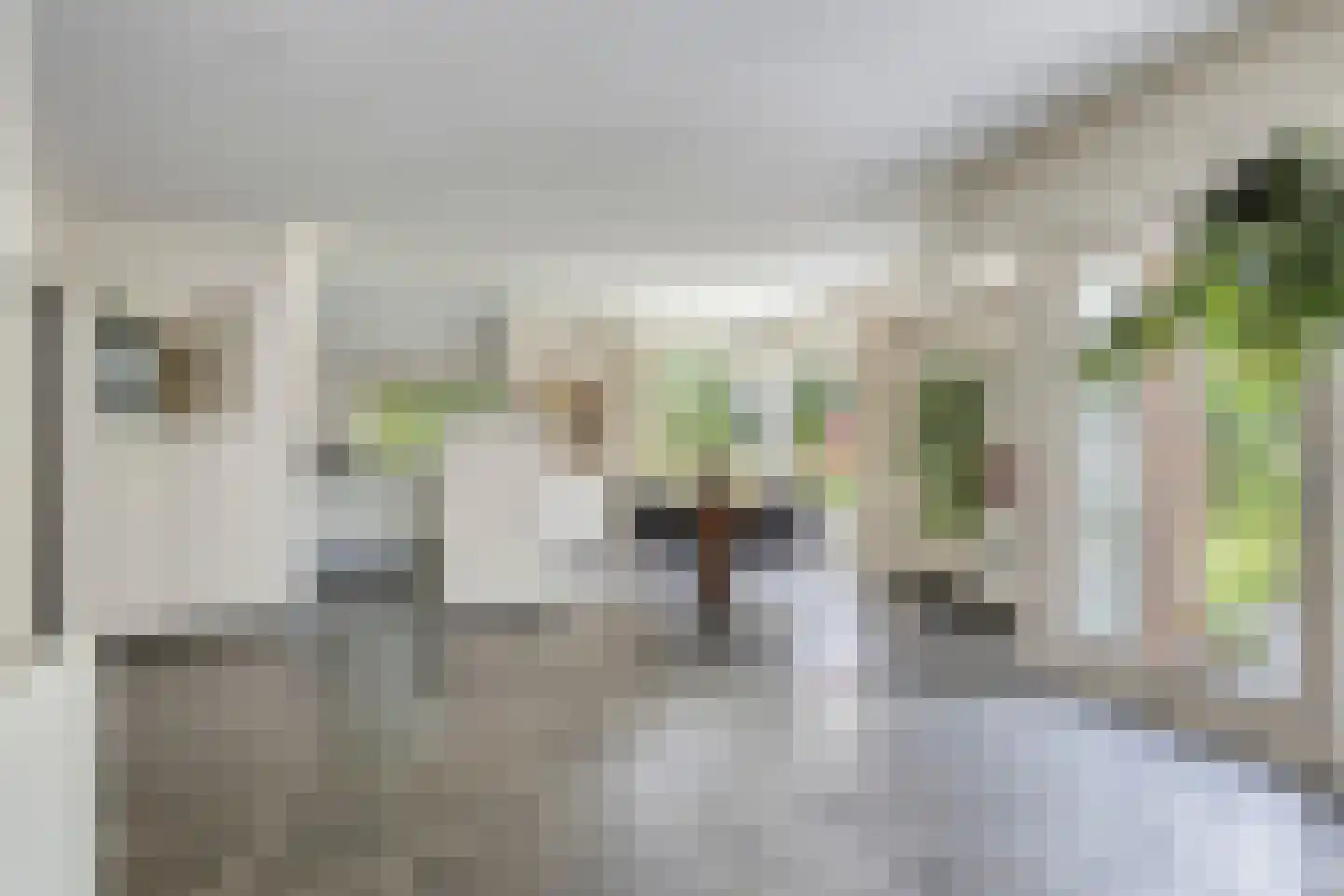 Houtsnip 2 Castricum thumbnail 15